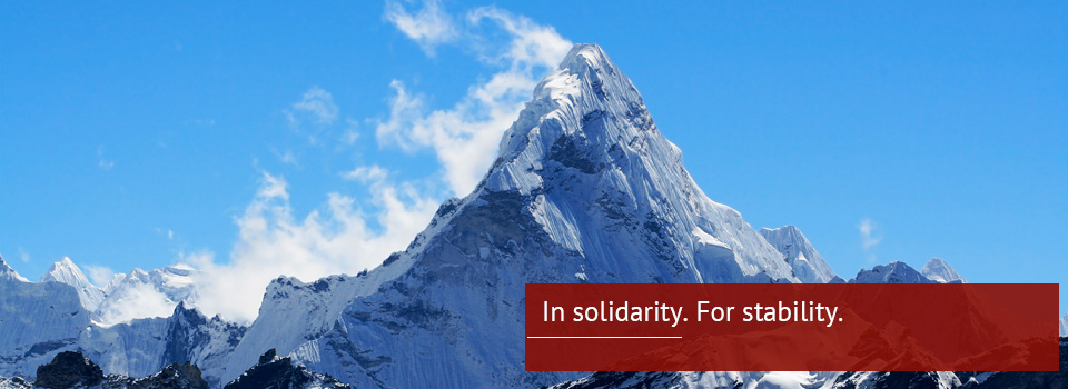 In-Solidarity-for-Stability